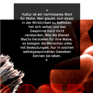 geertz-hermeneutik-3_w370.jpg